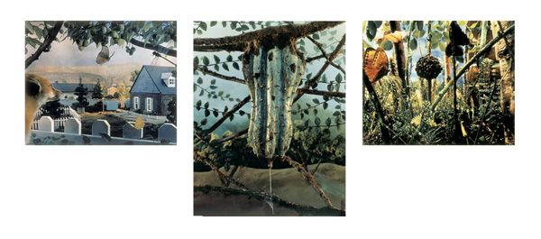 GREGORY CREWDSON b. 1962 Three Works: (i) Natu: GREGORYCREWDSONb. 1962Three Works: (i) Natural Wonders Series (Fox), 1990; (ii) Untitled (Mutated Ground), 1993; (iii) Natural Wonders Series (Butterf