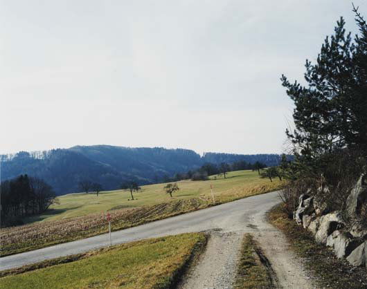 THOMAS STRUTH, b. 1954: Wegmundung bei Winterberg, no. 29, Winterthur, 1993 C-print in the artist's wooden frame. 52 x 60 ¾ in. (132.1 x 154.3 cm) overall. Signed "Th. Struth" on an artist's label adhered to the rever