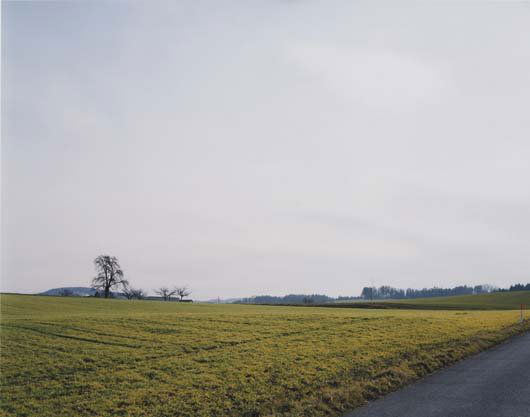 THOMAS STRUTH, b. 1954: Gelbes Felb, no. 23, Winterthur, 1993 C-print in the artist's wooden frame. 43 x 50 ½ in. (109.2 x 128.3 cm) overall. Signed "Th. Struth" on an artist's label adhered to the reverse. This work