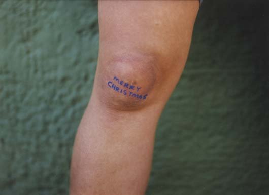 DAVID SHRIGLEY, b. 1968: Merry Christmas, 2002 C-print. 12 x 16 ¼ in. (30.5 x 41.3 cm). Inititaled and dated "DS 2002" on the reverse. This work is from an edition of ten. Provenance: Anton Kern Gallery, New York