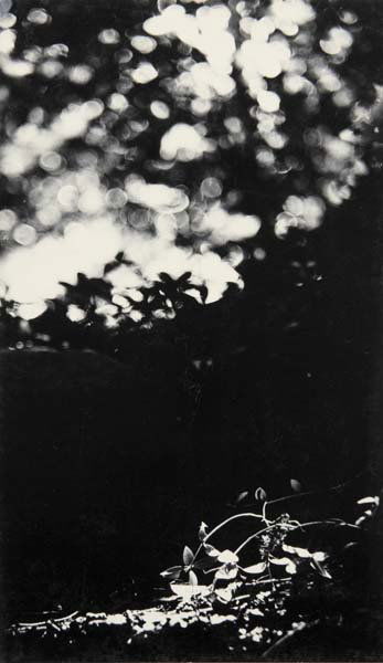 RALPH EUGENE MEATYARD, 1925-1972: Untitled, 1955 Gelatin silver print. 7 ½ x 4 ⅜ in. (19.1 x 11.1 cm). Initialed and dated by the artist in pencil on the mount; signed with 'Lexington, KY' address and annotated '$20.00'