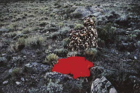 BEVERLY SEMMES: Red in the Landscape (Side View), 1998 Dye destruction print. 8 ¾ x 13 ¼ in. (22.2 x 33.7 cm). Signed, dated and numbered on verso. This work is from an edition of 5. Provenance: