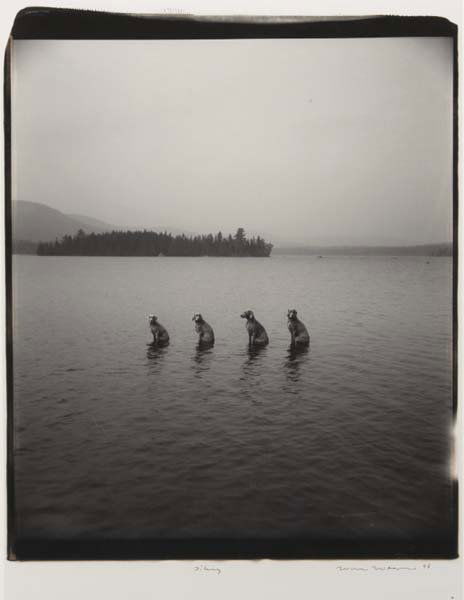 WILLIAM WEGMAN: Piling, 1998 Polaroid. 24 x 20 in. (61 x 50.8 cm). Signed, titled and dated in the margin. Provenance: Pace Wildenstein MacGill, New York