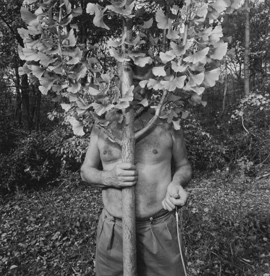 LEE FRIEDLANDER, b. 1934: New City, 1996 Gelatin silver print. 14 ⅞ x 14 ⅝ in. (37.8 x 37.1 cm). Signed, titled, dated in pencil and copyright credit reproduction limitation stamp on the verso. Provenance: Galeri