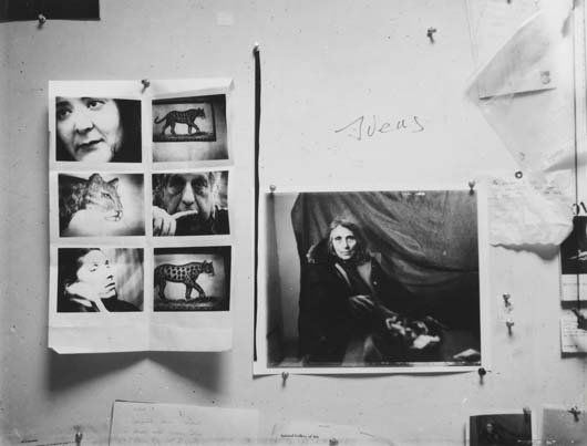 ROBERT FRANK, b. 1924: Untitled (June Leaf), 1955 Gelatin silver print, printed later. 6 ¾ x 9 in. (17.1 x 22.9 cm). Signed 'Robert' and inscribed in ink in the margin.