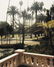 1162: STEPHEN SHORE, b. 1947