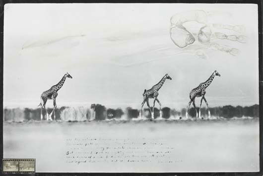 PETER BEARD, b. 1938: Taru Desert, 1960 Gelatin silver print with paint, printed 1992. 16 x 23 £x215e; in. (40.6 x 60.6 cm). Initialed, dated, annotated and inscribed in ink on the recto.