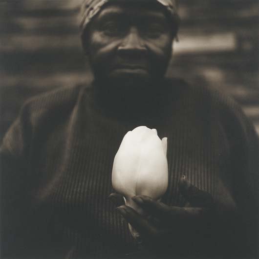 JACK SPENCER, b. 1951: Gussie's Magnolia, Lagrange, TN, 1997. Oleopasto print. 14 ⅛ x 14 ¼ in. (35.9 x 36.2 cm). Signed and numbered 2/30 in pencil in the margin; initialed, titled, dated and numbered 2/30 in p