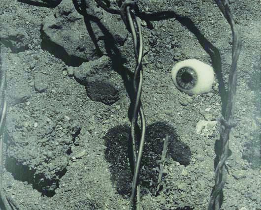 NATHAN LERNER, 1913-1999 Eye and barbed wire, 1939