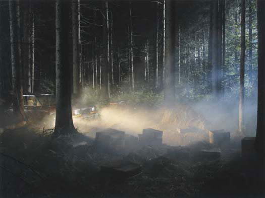 GREGORY CREWDSON, b. 1962 Production Still (Man i: GREGORY CREWDSON, b. 1962 Production Still (Man in Woods #4, from Beneath the Roses), 2003 Digital c-print. 12 x 15 ⅞ in. (30.5 x 40.3 cm). Signed, dated and numbered lower edge. This work is fr