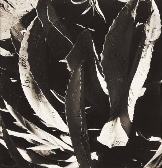 WALKER EVANS, 1903-1975 Untitled (California), 19: WALKER EVANS, 1903-1975 Untitled (California), 1947 Gelatin silver print. 7 ¾ x 7 ½ in. (19.7 x 19.1 cm). Annotated 'California,' dated in pencil in an unidentified hand and Lunn Archive