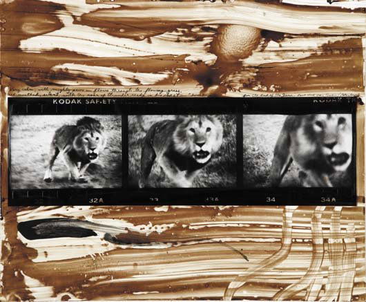 PETER BEARD, b. 1938 Lolindo Lion Charge, 1964 Ge: PETER BEARD, b. 1938 Lolindo Lion Charge, 1964 Gelatin silver print with ink and blood, printed later. 19 ¾ x 23 ¾ in. (50.2 x 60.3 cm). Signed and extensively annotated in ink and blood
