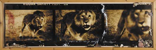 PETER BEARD, b. 1938 Lolindo Lion Charge, 1964 Ge: PETER BEARD, b. 1938 Lolindo Lion Charge, 1964 Gelatin silver print collage with paint, blood and objects, in artist's original frame, printed later. 81 x 24 in. (205.7 x 61 cm). Signed, titled and da