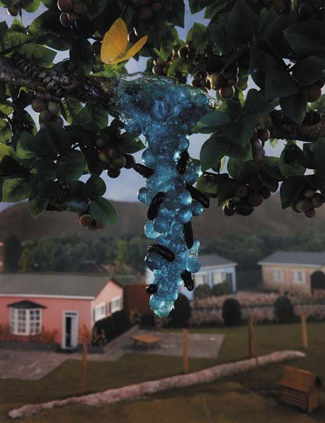 GREGORY CREWDSON, b. 1962 Untitled from Natural W: GREGORY CREWDSON, b. 1962 Untitled from Natural Wonder, 1992 Fujicolor Crystal Archive print, printed 1993. 36 x 28 in. (91.4 x 71.1 cm). Signed, dated '1993' and numbered 4/6 in ink on the verso. PRO