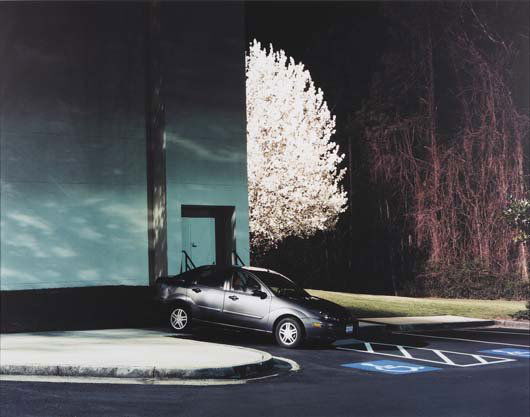 TIM DAVIS, b. 1969 Bradford Pear (from Illiluminat: TIM DAVIS, b. 1969 Bradford Pear (from Illiluminations), 2004 C-print, flush mounted on Sintra. 47 ½ x 60 ½ in. (120.7 x 153.7 cm). Signed on label on reverse of the mount. This work is