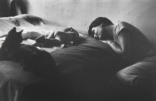ELLIOTT ERWITT, b. 1928 New York City, 1953 Gelati