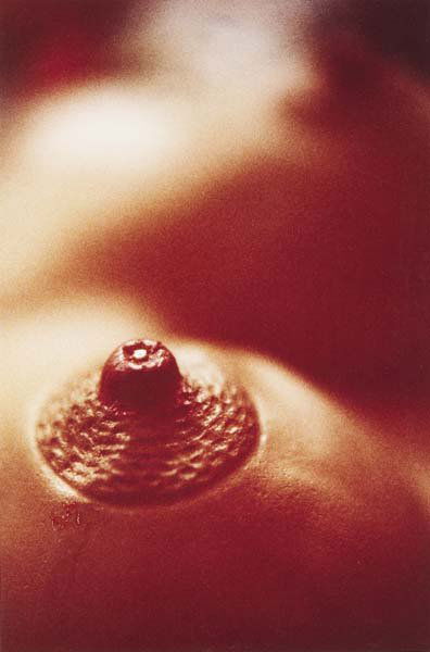 CINDY SHERMAN, b. 1954: Nipple with Diamond, 1990-1991 C-print. 13 x 8 1/2 in. (33 x 21.6 cm). Signed, dated and numbered on verso. This work is from an edition of 100.