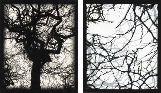 DOUG & MIKE STARN, b. 1961 & 1961: Two works: (i) Structure of Thought 6-a, 2008; (ii) Structure of Thought 6-b, 2008 Digital print. Each 11 x 8 1/2 in. (27.9 x 21.6 cm). Each signed on the certificate of authenticity. These works are 