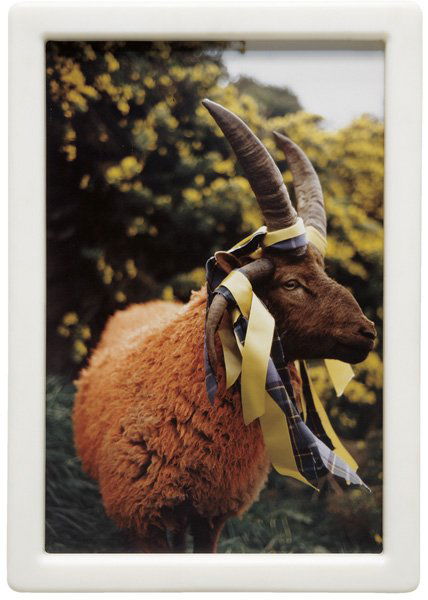MATTHEW BARNEY, Cremaster 4: Loughton Ram, 1994: Cremaster 4: Loughton Ram, 1994 C-print in the artist's self-lubricating plastic frame. 33 1/2 x 23 1/2 x 1 1/2 in. (85.1 x 59.7 x 3.8 cm). Signed "Matthew Barney" on the reverse. This work is from an