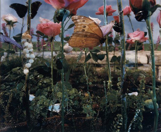 GREGORY CREWDSON, Untitled (butterflies and ball o: Untitled (butterflies and ball of larvae), 1990 C-print. 19 7/8 x 24 in. (50.5 x 61 cm) paper size. Signed "Gregory Crewdson" and numbered of 10 on the reverse. This work is from an edition of 10. PRO