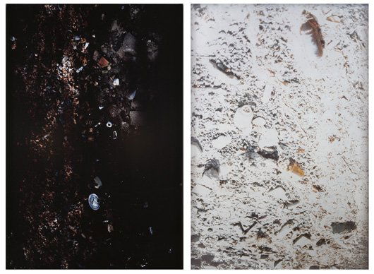 MIKE KELLEY, Black Garbage (Grassy Island, [Canadi: Black Garbage (Grassy Island, [Canadian]); White Garbage (Bob Lo Island), 2001 Diptych: two cibachrome prints mounted on board. 71 3/4 x 48 in. (182.2 x 121.9 cm) each. Each signed "M. Kelley" on a la