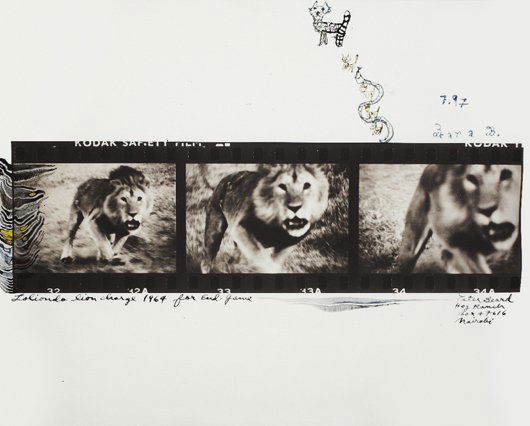 PETER BEARD, Lolindo Lion Charge, 1964: Lolindo Lion Charge, 1964 Gelatin silver print with ink, paint and drawing by the artist's daughter, printed later. 7 7/8 x 10 in. (20 x 25.4 cm). Signed, titled, dated and annotated in ink and paint