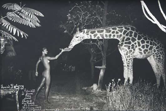 PETER BEARD, Maureen and Late-Night Feeder, Hog Ran: Maureen and Late-Night Feeder, Hog Ranch, 1987 Gelatin silver print with paint, printed later. 12 3/4 x 18 3/4 in. (32.4 x 47.6 cm). Signed, titled, dated and annotated in paint on the recto. PROVENAN