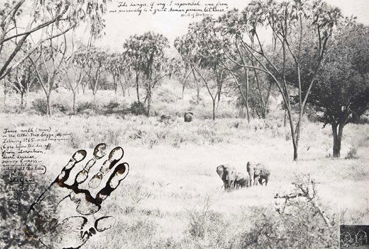 PETER BEARD, Tsavo Before the Die-Off, Tsavo North,: Tsavo Before the Die-Off, Tsavo North, 1965 Gelatin silver print with ink, paint and an affixed gelatin silver print, printed later. 15 1/4 x 22 1/2 in. (38.7 x 57.2 cm). Signed, titled, dated and ext