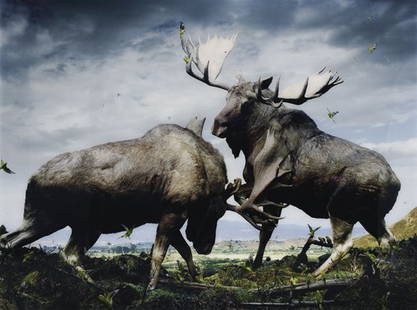 SIMEN JOHAN, Untitled #133 (Moose) from Until the K: Untitled #133 (Moose) from Until the Kingdom Comes, 2006 Color coupler print, Diasec mounted. 63 7/8 x 80 3/4 in. (162.2 x 205.1 cm). Signed, titled, dated and numbered 5/5 in ink on the reverse of th