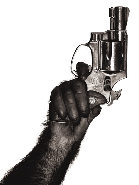 ALBERT WATSON, Monkey with Gun, New York City, 199: Monkey with Gun, New York City, 1992 Archival pigment print, printed later. 30 x 24 in. (76.2 x 61 cm) overall. Signed, titled, dated and numbered 22/25 ink on the reverse of the aluminum flush-mount.