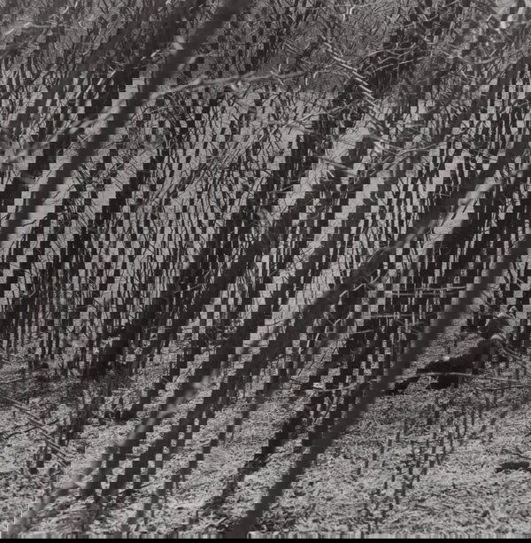 RALPH EUGENE MEATYARD (American, 1925-1972) UN: RALPH EUGENEMEATYARD(American, 1925-1972)UNTITLED, CIRCA 1962gelatin silver print7 x 6 ¾ in. (17.8