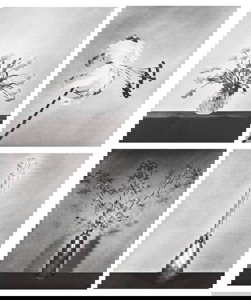 ROBERT MAPPLETHORPE (American, 1946-1989) FLOWE: ROBERTMAPPLETHORPE(American, 1946-1989)FLOWERS PORTFOLIO, 1983New York: Barbara Gladstone Gallery, 1983. Ten photogravures</