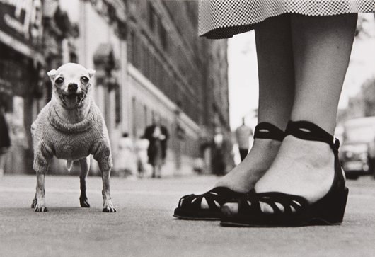 ELLIOTT ERWITT, New York City, 1946: New York City, 1946 Gelatin silver print, printed later. 12 x 17 1/2 in. (30.5 x 44.5 cm). Signed in ink in the margin; signed, titled and dated in pencil on the verso. LITERATURE Phaidon, Elliot Erwi