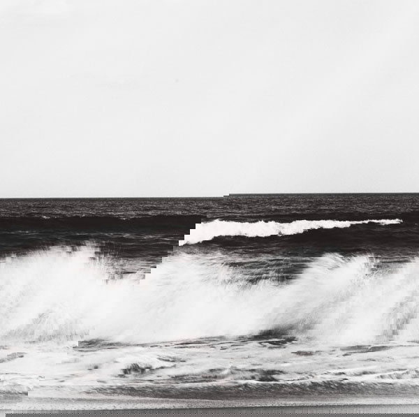 ROBERT MAPPLETHORPE (American, 1946-1989) WAVE: ROBERTMAPPLETHORPE(American, 1946-1989)WAVES, 1980gelatin silver print13⅞ x 14 in. (35.3 x