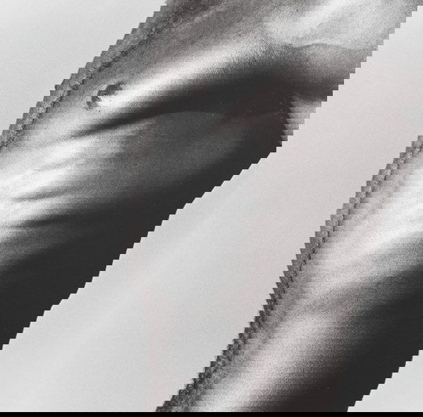 ROBERT MAPPLETHORPE (American, 1946-1989) TORS: ROBERTMAPPLETHORPE(American, 1946-1989)TORSO, 1980gelatin silver print13⅞ x 14 in. (37.8 x 3