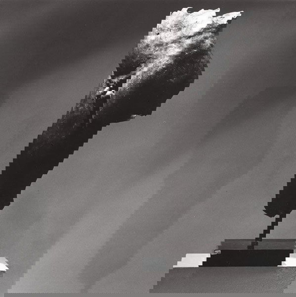 ROBERT MAPPLETHORPE (American, 1946-1989) BRON: ROBERTMAPPLETHORPE(American, 1946-1989)BRONZE, 1978gelatin silver print14 x 14 in. (35.5 x 35.5 cm