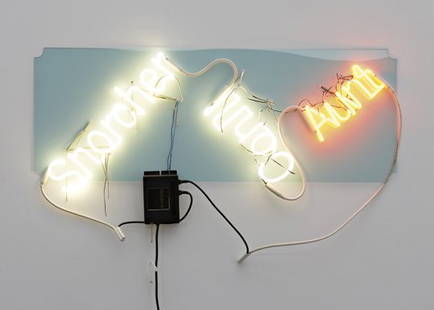 JASON RHOADES, Conill, Snorcher, Aunt, 2003: Conill, Snorcher, Aunt, 2003 Neon lights mounted on light green translucent Plexiglas with wire, string or lace, and transformer. 45.7 × 119.4 × 7.6 cm (18 × 47 × 3 in). †PROVENANCE David Z