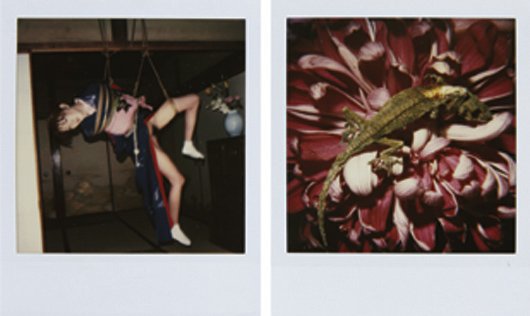 NOBUYOSHI ARAKI, Polaroid Diptych, n.d.