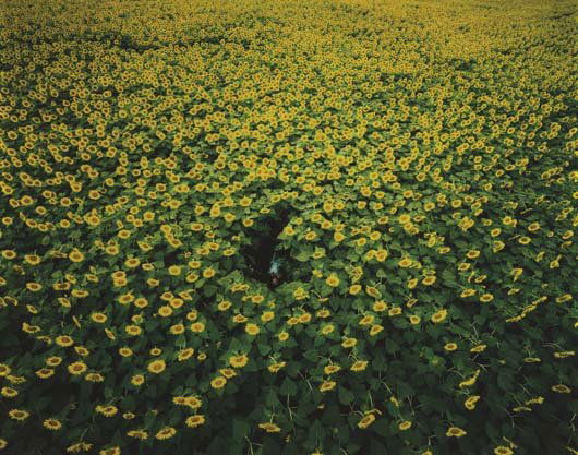 IZIMA KAORU, Matsuda Jun wears Marni, 2000: Matsuda Jun wears Marni, 2000 Color coupler print, Diasec mounted. 39 3/8 x 49 5/8 in. (100 x 126 cm). Signed in ink, printed title, date and number 5/5 on an artist's label affixed to the reverse of