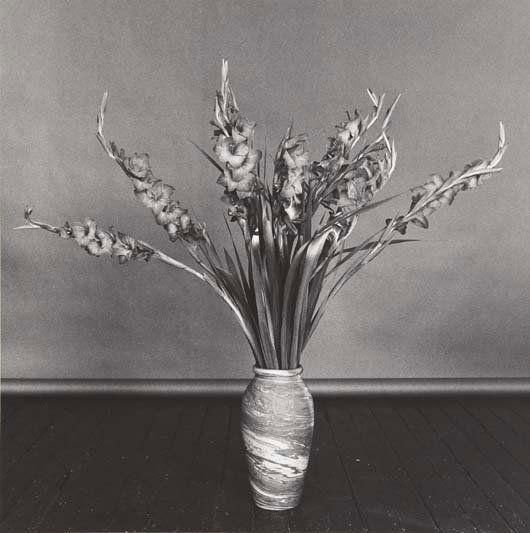 ROBERT MAPPLETHORPE, Gladioli, 1979: Gladioli, 1979 Gelatin silver print, flush-mounted. 13 7/8 x 13 7/8 in. (35.2 x 35.2 cm). Signed and dated in pencil in the margin. One from an edition of 10 plus 2 artist's proofs.