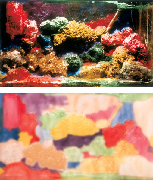 MIKE KELLEY (b. 1954) COLOR AND FORM diptych: MIKEKELLEY(b. 1954)COLOR AND FORMdiptych: two chromogenic process prints49 x 84⅛ in. (124.5