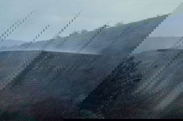 GABRIEL OROZCO (b. 1962) CASA CON LLUVIA (HO: GABRIEL OROZCO(b. 1962)CASA CON LLUVIA (HOUSE AND RAIN)signed, numbered of five, titled and dated "House and Rain (Casa Con