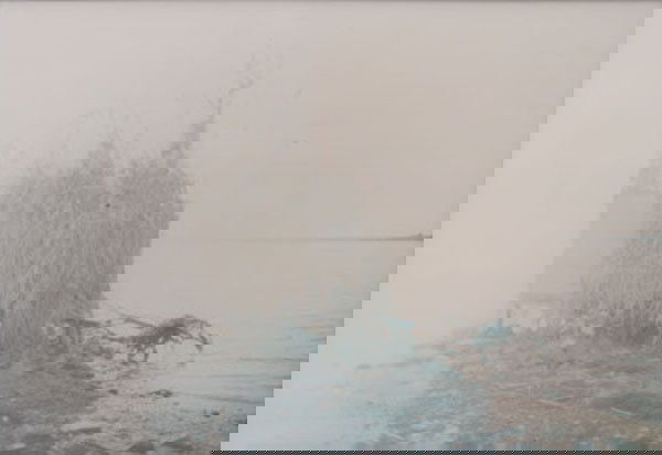 MIKE KELLEY (b. 1954) DUCKBLIND (GRASSY ISLAN: MIKEKELLEY(b. 1954)DUCKBLIND (GRASSY ISLAND, DETROIT RIVER)signed, numbered and dated "M. Kelley 1999" on the reverse chr