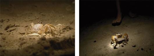 Anri Sala, Ghostgames, 2002: Ghostgames, 2002 Colour film with sound. Duration: 9' 15". Signed 'Anri Sala' on DVD. This work is from an edition of six plus two artist's proofs. ‡ PROVENANCE Hauser & Wirth, Zürich EXHIB