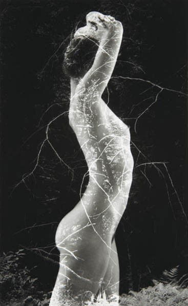 RUTH BERNHARD, Symbiosis, 1971: Symbiosis, 1971 Selenium-toned gelatin silver print, printed later. 13 5/8 x 13 3/8 in. (34.6 x 34 cm). Signed in pencil on the mount; signed, titled, dated in pencil and copyright credit stamp on the