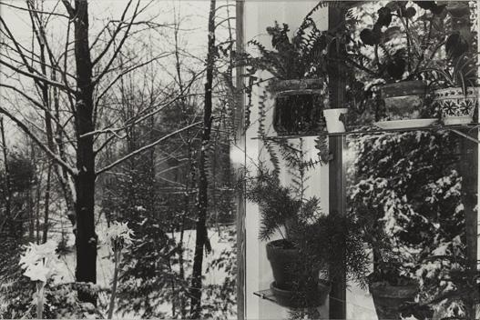 LEE FRIEDLANDER, Putney, Vermont, 1972: Putney, Vermont, 1972 Gelatin silver print. 7 3/8 x 11 in. (18.7 x 27.9 cm). Signed in pencil and copyright credit reproduction limitation stamp on the verso. LITERATURE Galassi, Friedlander, pl. 250