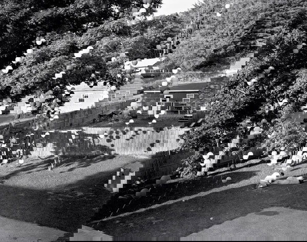 GREGORY CREWDSON (b. 1962) UNTITLED (BALLOONS: GREGORYCREWDSON(b. 1962)UNTITLED (BALLOONS IN BACKYARD)gelatin silver print20 x 23¾ in. (50