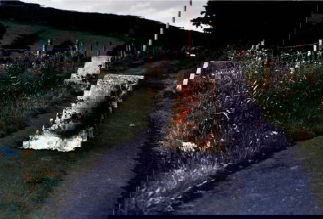 WILLIE DOHERTY (b. 1959) BORDER ROAD (2) silv: WILLIEDOHERTY(b. 1959)BORDER ROAD (2)silver dye bleach process print mounted with aluminum49&frac1