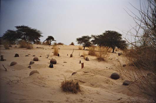 Gabriel Orozco, Cemetery (View III), 2002: Cemetery (View III), 2002 C-print. 16 x 20 in. (40.6 x 50.8 cm). Signed, titled, dated "Gabriel Orozco, 2002, Cemetery (View III)" and numbered of five on the reverse. This work is from an edition of