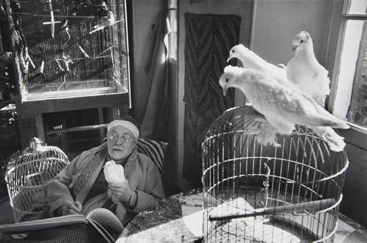 HENRI CARTIER-BRESSON Henri Matisse, Vence, France,: Henri Matisse, Vence, France, 1944 Gelatin silver print, printed later. 9 1/2 x 14 1/8 in. (24.1 x 35.9 cm). Signed in ink and copyright credit blindstamp in the margin. LITERATURE Bulfinch Press, Tê